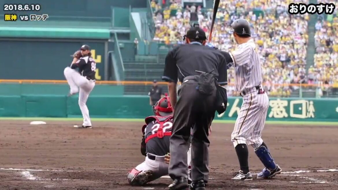 【鳥谷敬】バックネット視点〜打撃集〜