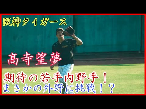【秋季キャンプ】高寺君が外野挑戦!? 阪神 小幡&高寺の期待の内野手コンビ!
