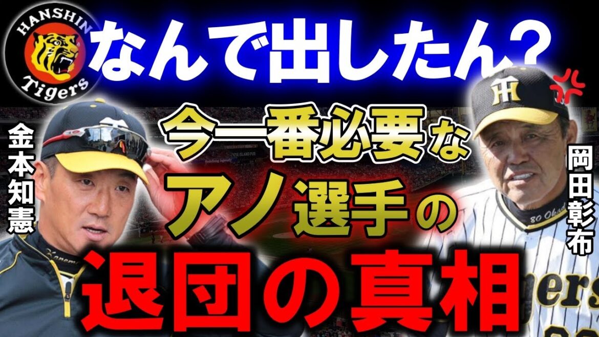 【岡田彰布】「アイツがいたら今年は・・・」2023年の阪神タイガースの弱点を埋める存在を放出した理由とは?金本知憲監督時代に退団したあの選手のFAの真相が明らかに。