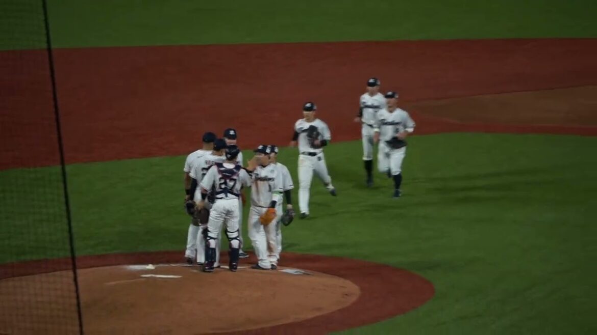 【2023開幕戦 勝利】【球速154km 星知弥】2023/3/31(金) 星知弥 空振り三振 中継ぎ登板(9回表) vs 小園海斗(広島東洋カープ)