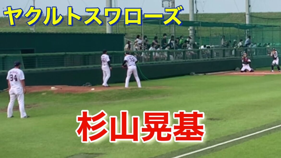 ヤクルトスワローズ 杉山晃基 対横浜ベイスターズ戦