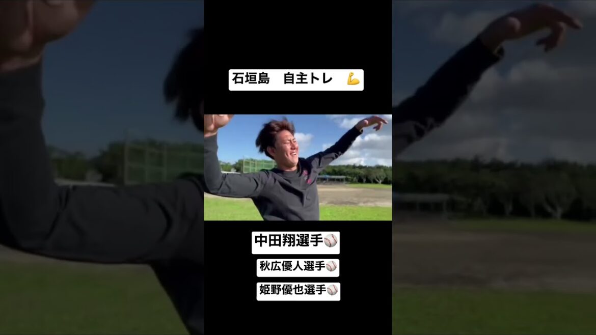 自主トレ!!2023年!!石垣島!! #shorts #トレーニング #プロ野球 #野球 #トレーナー #筋トレ #遠投 #中田翔 #石垣島 #スピードガン #秋広優人 #姫野優也 #筋肉 #巨人