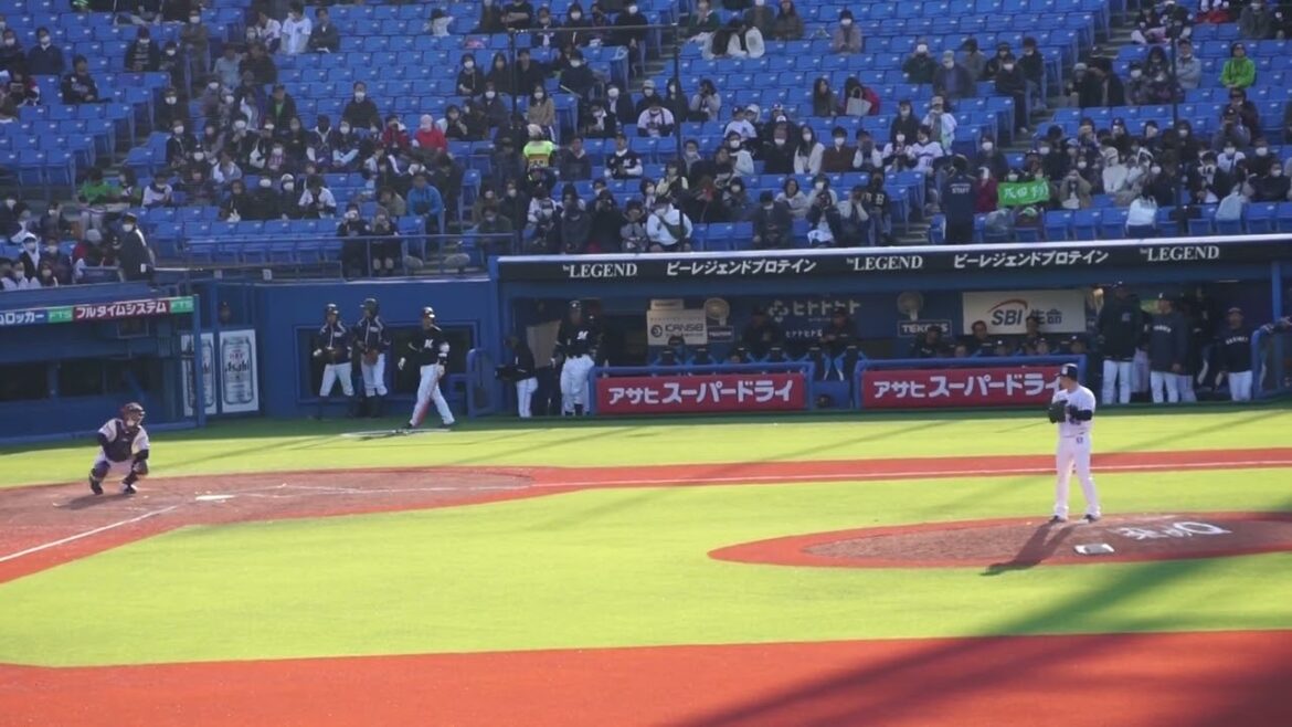 2023/3/14(火) 投球練習(9回表) 成田翔(東京ヤクルトスワローズ)