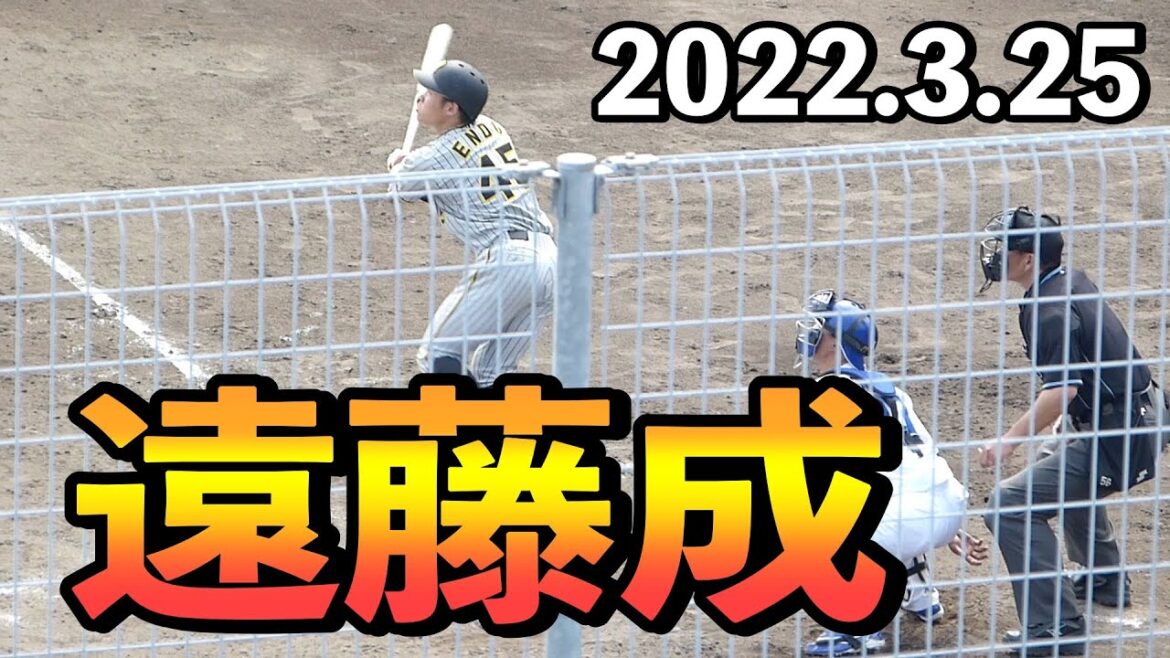 阪神タイガース遠藤成(東海大相模)のバッティング 4回表【2022年3月25日 対中日ドラゴンズ プロ野球 2軍ファーム戦 ウエスタンリーグ ナゴヤ球場】