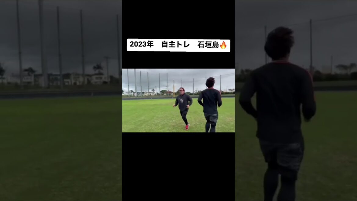 自主トレ!!石垣島!!2023年!! #shorts #トレーニング #トレーナー #筋トレ #プロ野球 #沖縄 #中田翔 #秋広優人 #姫野優也 #石垣島