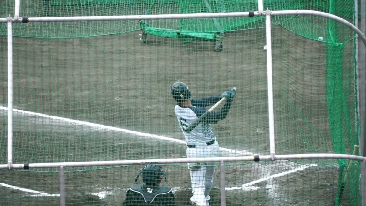 2023/2/20(月) フリーバッティング 元山飛優(東京ヤクルトスワローズ) その1