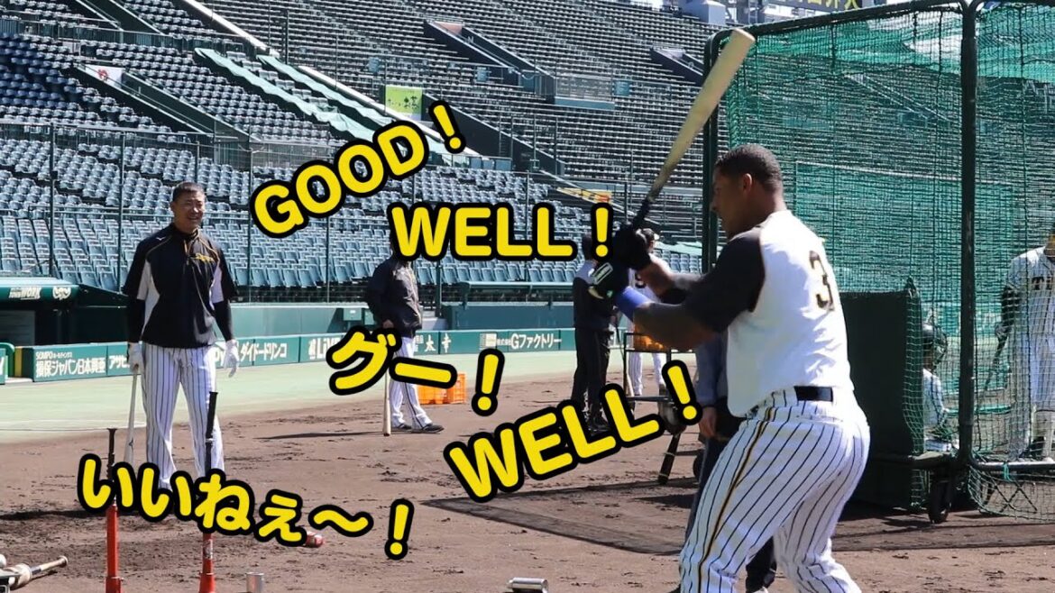 マルテ選手が福留選手をお手本に初めて連ティーへ挑戦!コーチからも絶賛されたマルテ選手のバッティングをお届けします。