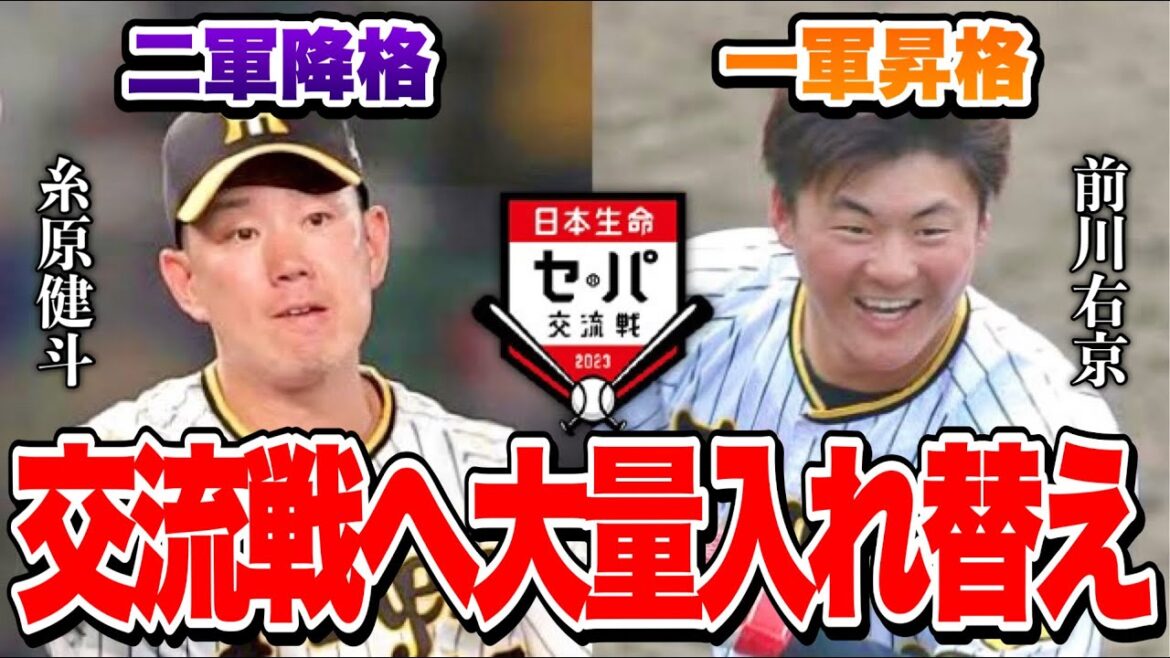 【井坪の昇格は?】前川 中川が昇格で糸原 原口が2軍降格!阪神タイガースが大量に入れ替えしている件について