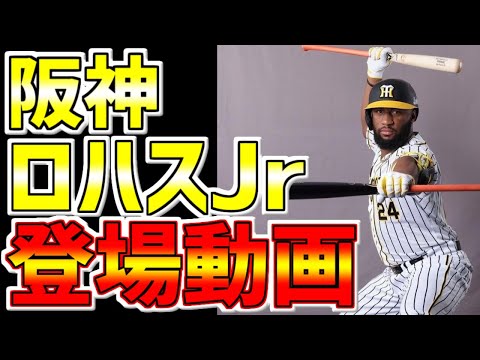 阪神タイガース🐯ロハスJr登場動画 #阪神タイガース #タイガース #Shorts #阪神 #ロハス #ロハスJr