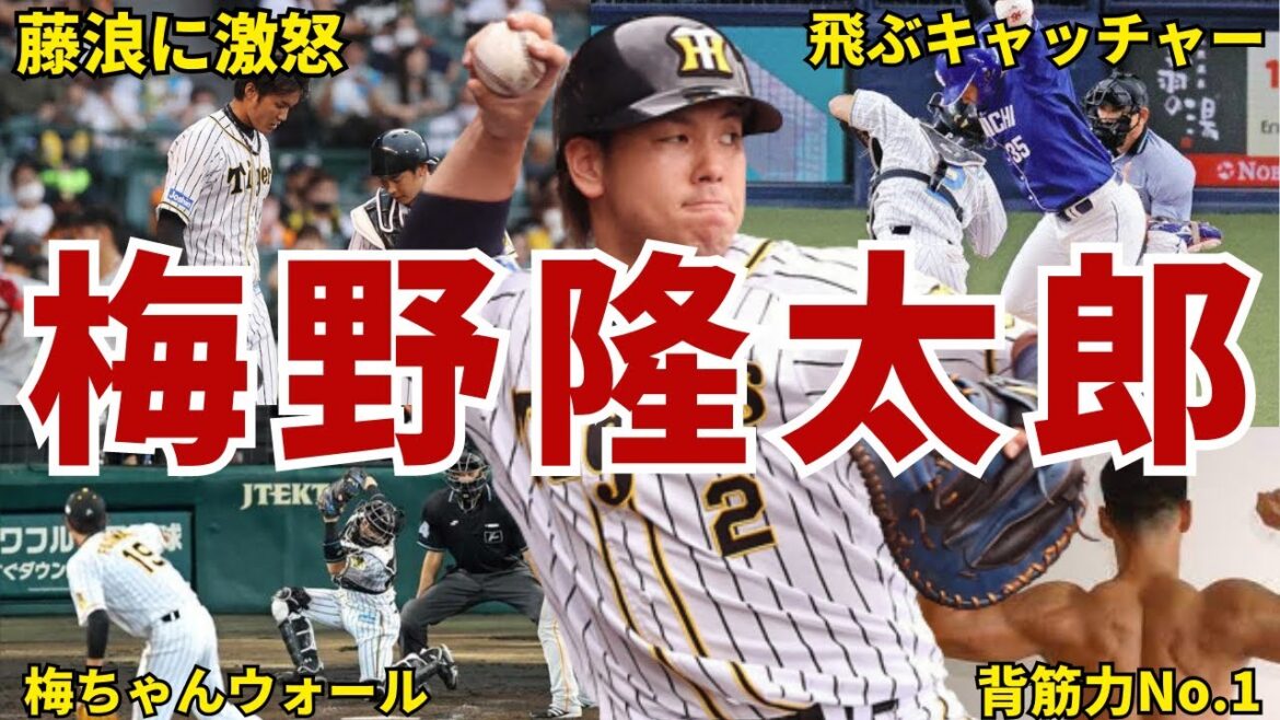 【梅ちゃんバズーカ】阪神・梅野隆太郎の面白エピソード50連発 #梅野隆太郎 #タイガース #阪神タイガース