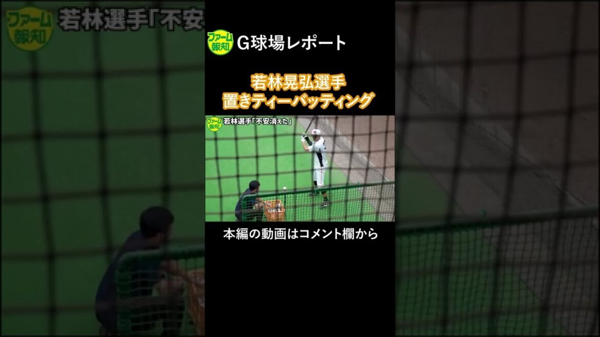 【切り抜き】巨人後半戦の救世主はオレ達だ!若林晃弘選手が置きティーバッティング【ファーム報知】#巨人 #報知プロ野球 #若林晃弘 #切り抜き #shorts