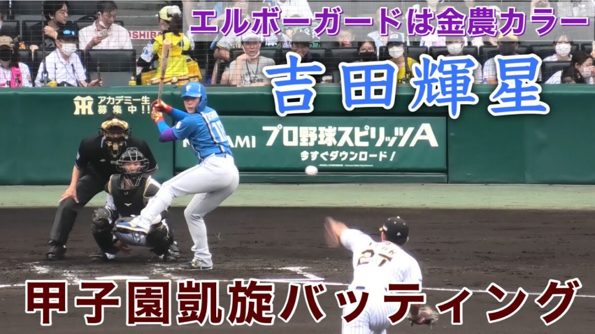 『吉田輝星 甲子園凱旋バッティング』エルボーガードは金農カラー 4年ぶり金足農業高校以来の打席 日本ハムファイターズvs阪神タイガース交流戦 2022年6月5日