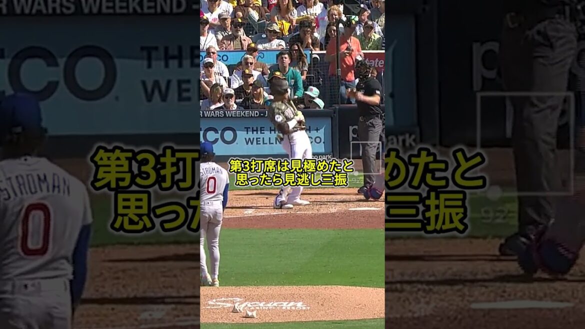 【煽り合い】ただでは済まさないメジャーリーガー ストローマンvsソト #Shorts #baseball #野球 #珍プレー #mlb