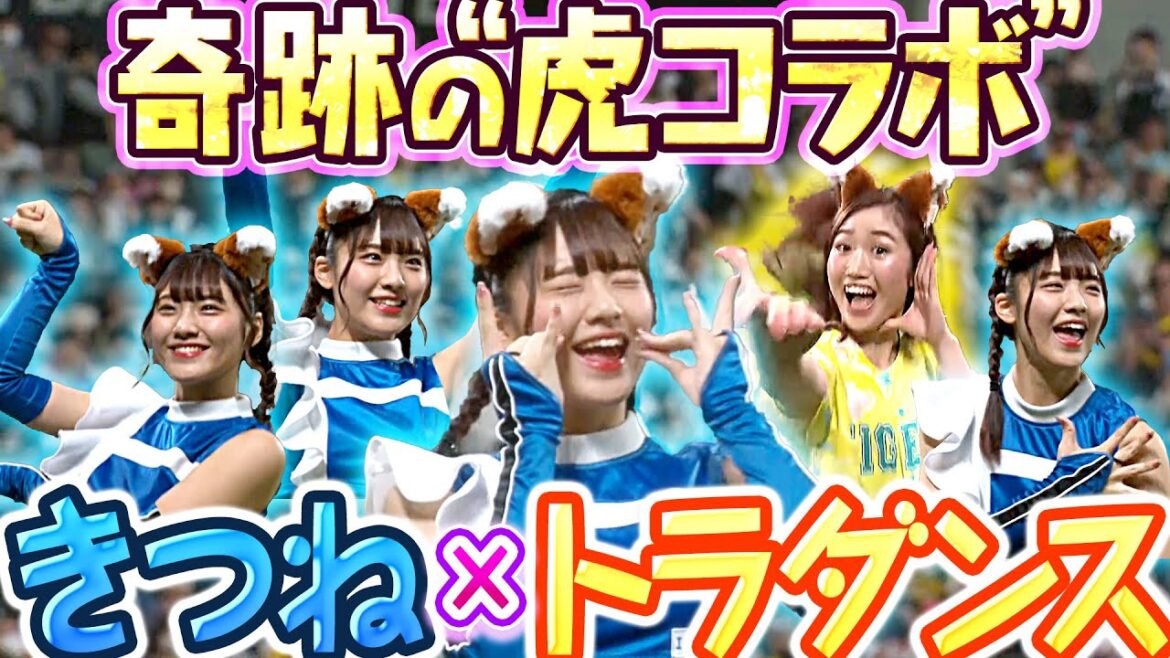 Pacific-League: 【奇跡の虎コラボ】ありがとう『きつね×トラダンス』【🦊🐯】