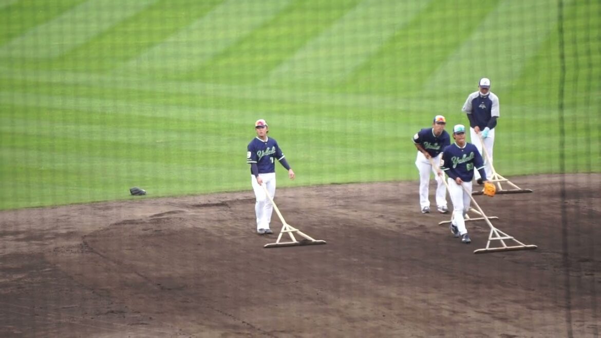 2023/2/20(月) トンボ掛け 奥村展征、長岡秀樹、武岡龍世、森岡良介(東京ヤクルトスワローズ)