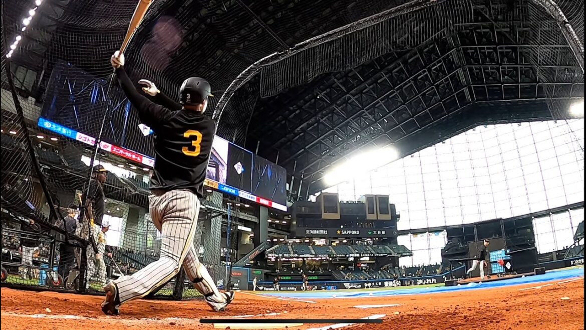 Hanshin-Tigers: 【初エスコン②】初の#エスコンF !打撃練習中にバッティングゲージ内に球団カメラを設置しました!北の大地の新球場で、果てしない大空に消えていくド迫力映像を、特別アングルからじっくりとご覧ください!!
