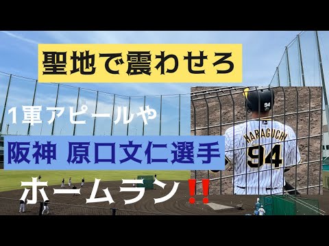 【聖地で震わせろ】ファーム 阪神 原口文仁 選手 左中間へホームラン23.6.7. 🆚広島東洋 🏟阪神甲子園球場