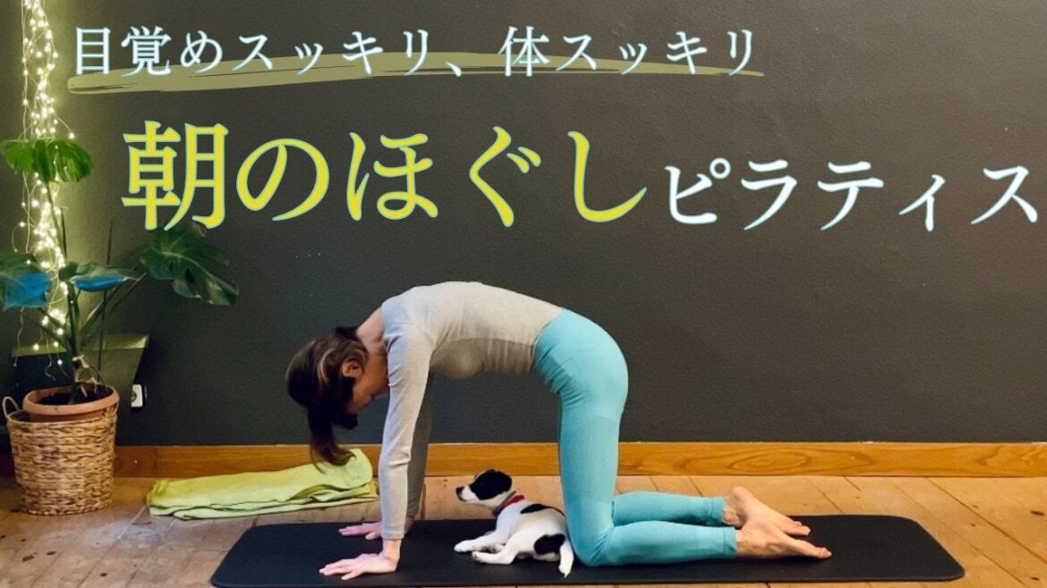 【毎朝やってほしい8分】気持ちよく伸びて寝ている間に硬くなった体をほぐすピラティス