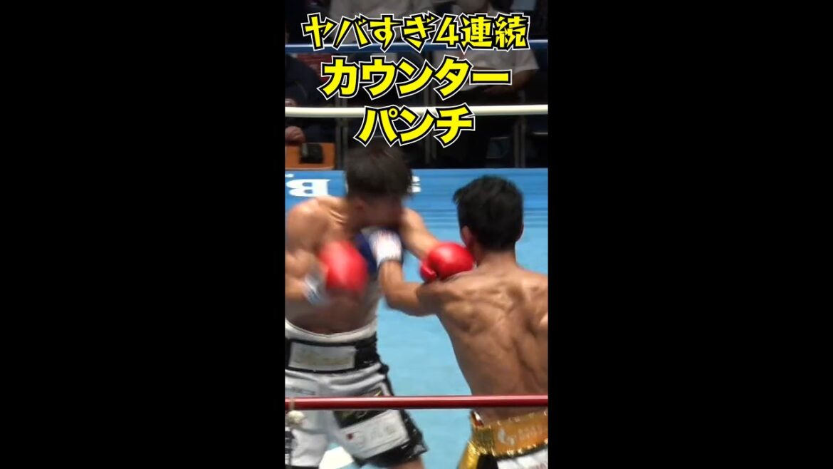 和氣慎吾ヤバすぎる4連続カウンターパンチ ボクシング#和氣慎吾#和気 #boxing #カウンター