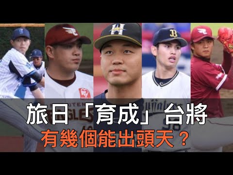 王柏融並非「降轉」育成第一人?旅日台將簽「育成約」有幾個打出成績?