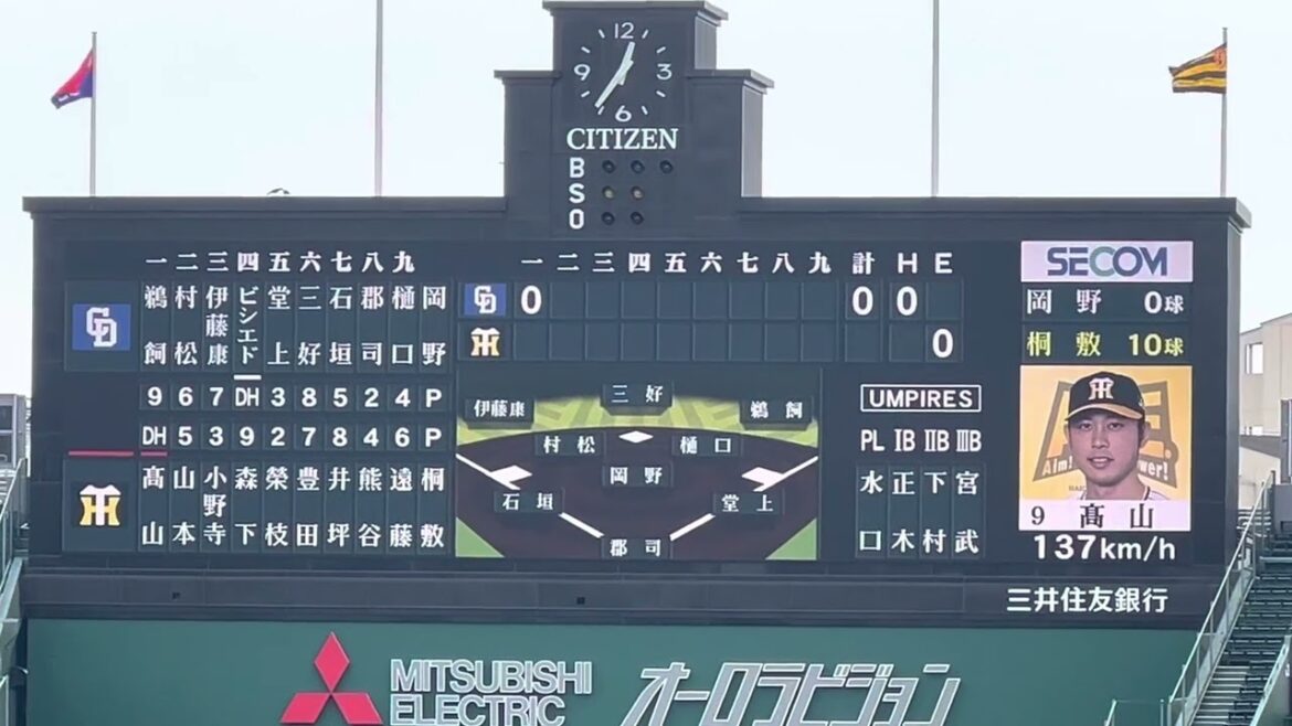 【23シーズン】阪神 髙山俊 選手登場曲✨歌手名 ✨ chay 曲名『あともう少し』阪神甲子園球場