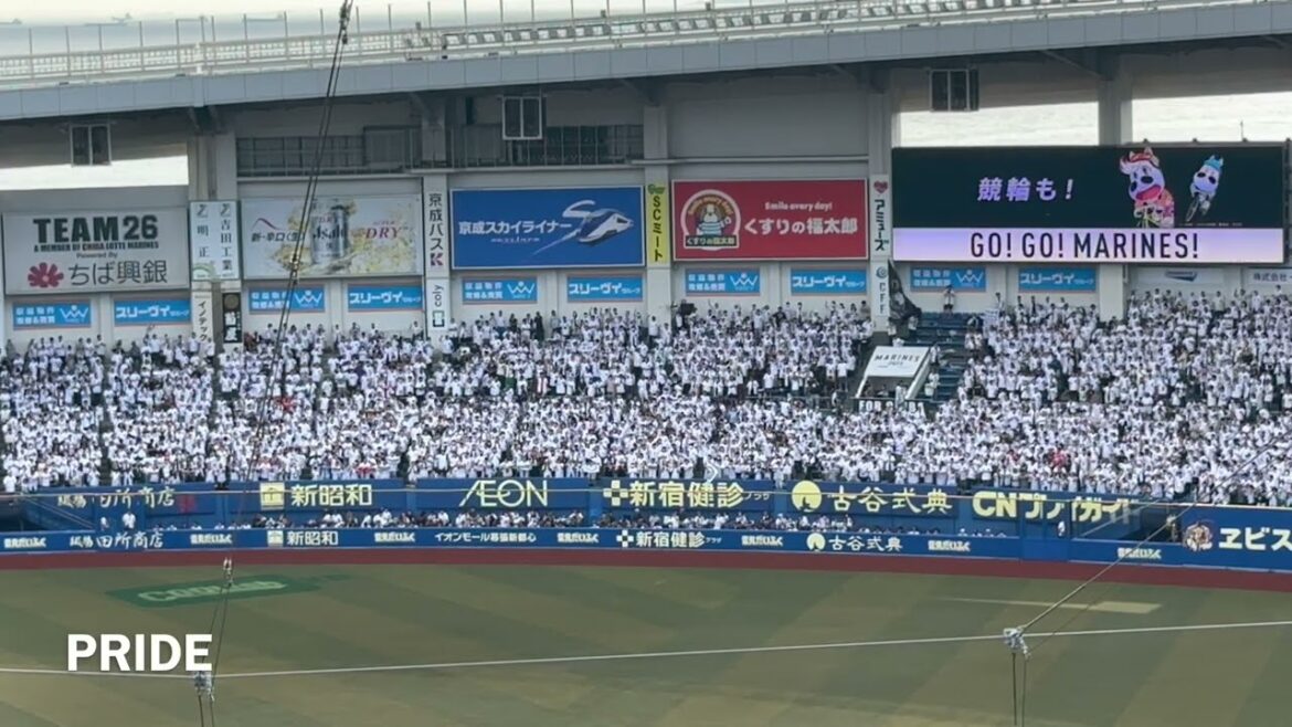 20230625 CHIBA LOTTE MARINES Chants from Pacific League Regular Season パ・リーグ公式戦 千葉ロッテマリーンズ チャント集
