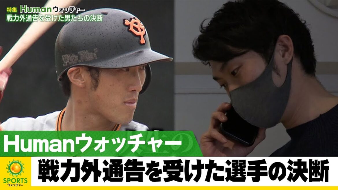 戦力外通告を受けた選手の決断!人生の岐路に立つ男たちに密着/Humanウォッチャー