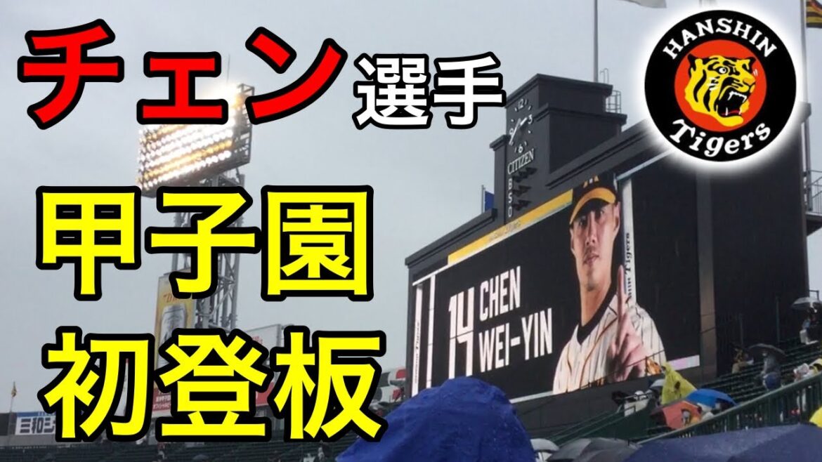 【移籍後初登板】チェン・ウェイン(陳偉殷)選手 3449日ぶりの甲子園のマウンド登板の瞬間【阪神タイガース】