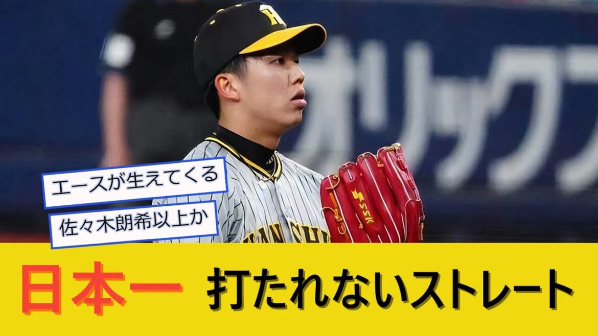 才木浩人日本一打たれないストレート
