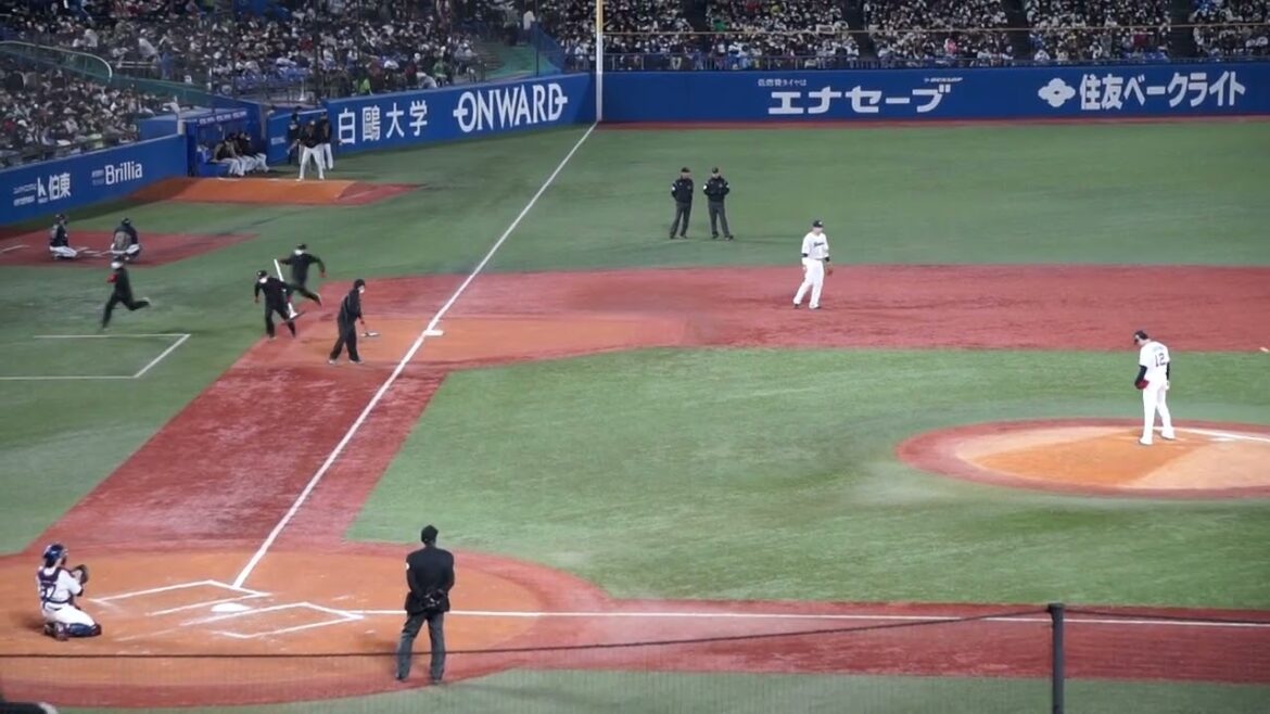 2022/10/30(日) 投球練習(8回表) 石山泰稚(東京ヤクルトスワローズ)