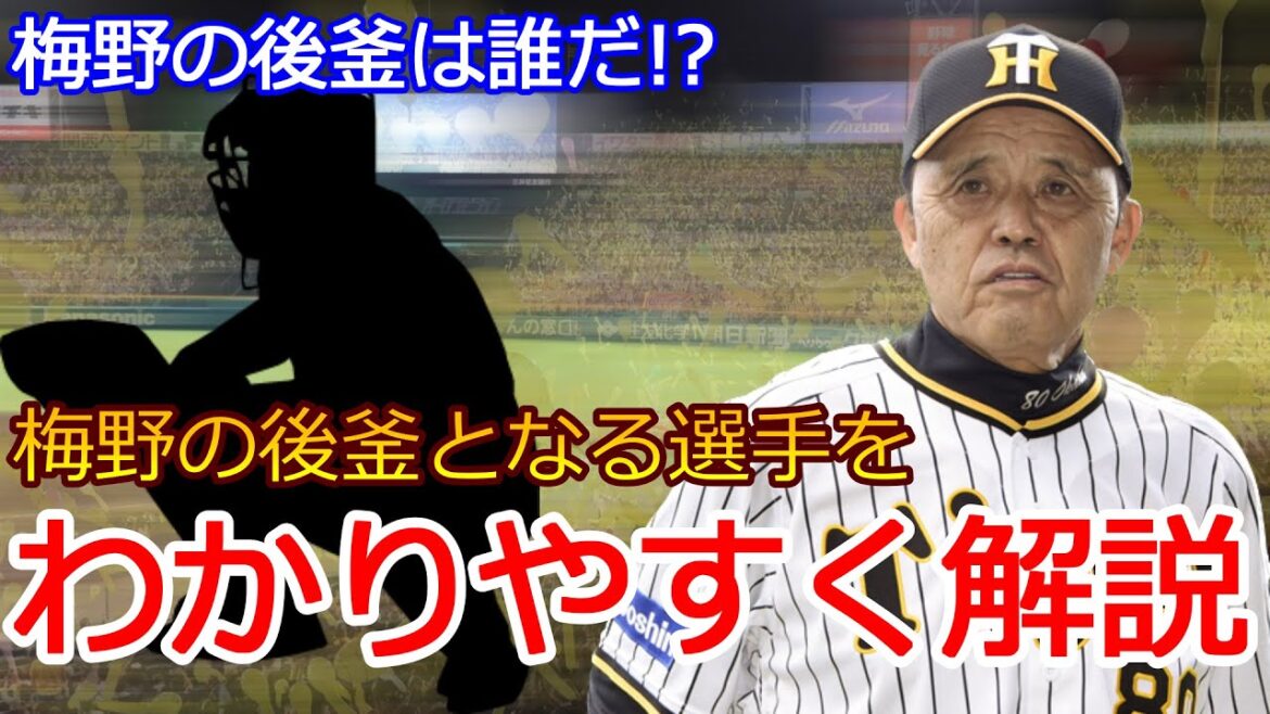 【阪神タイガース】梅野選手の後釜捕手が凄すぎるwwwww