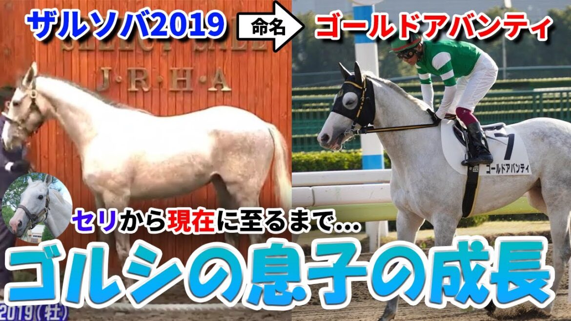 ゴールドシップの息子ゴールドアバンティの購入秘話!これまでを振り返ります。