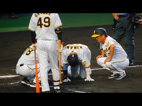 自打球が膝に直撃し倒れ込む木浪聖也に応援団とファンがエール