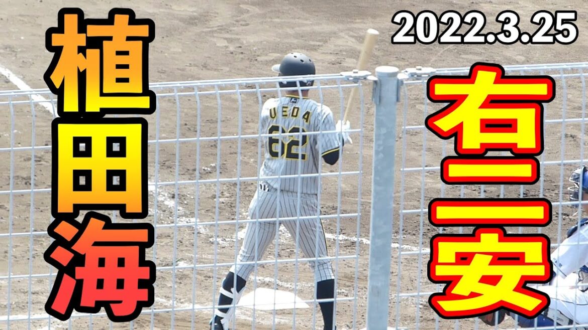 植田海の2ベースヒット【阪神タイガース 2022年3月25日 対中日ドラゴンズ プロ野球 2軍ファーム戦 ウエスタンリーグ ナゴヤ球場】