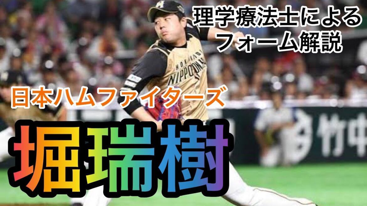 掘瑞樹(日本ハムファイターズ)投手のフォーム解説 #Shorts
