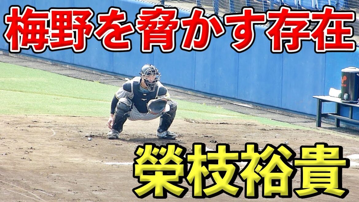 阪神タイガース榮枝裕貴のキャッチング技術【2022年3月25日 対中日ドラゴンズ プロ野球 2軍ファーム戦 ウエスタンリーグ ナゴヤ球場】