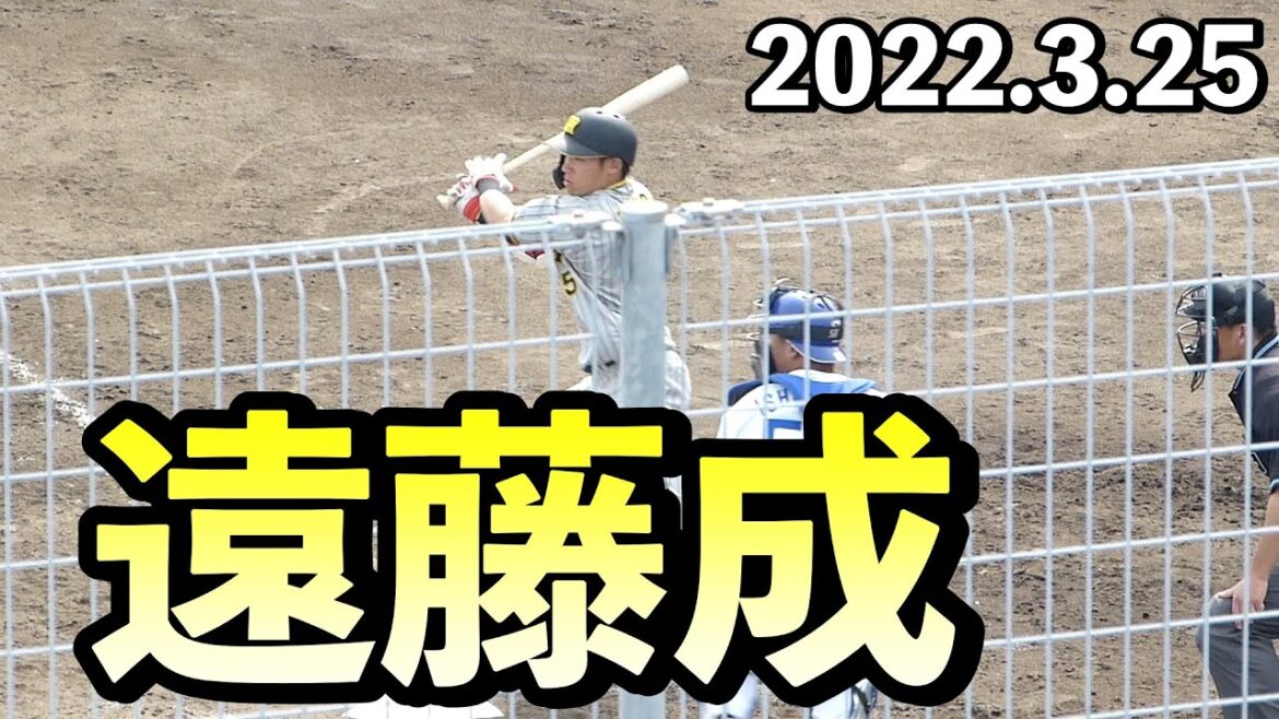 阪神タイガース遠藤成(東海大相模)のバッティング 7回表【2022年3月25日 対中日ドラゴンズ プロ野球 2軍ファーム戦 ウエスタンリーグ ナゴヤ球場】