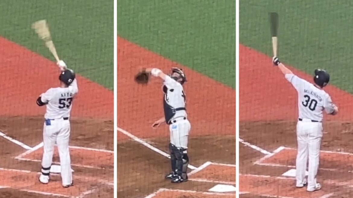 虫が気になる男たち2023・夏