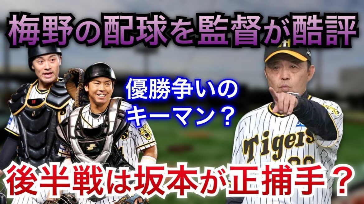 【岡田監督がリードを酷評】後半戦の正捕手は坂本?注目の正捕手争いの行方とは【阪神タイガース】