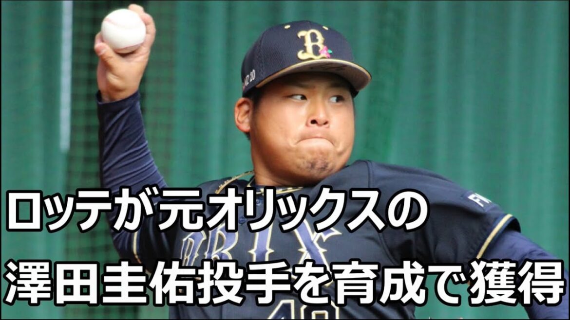ロッテが元オリックスの澤田圭佑投手を育成で獲得 通算126試合登板の右腕