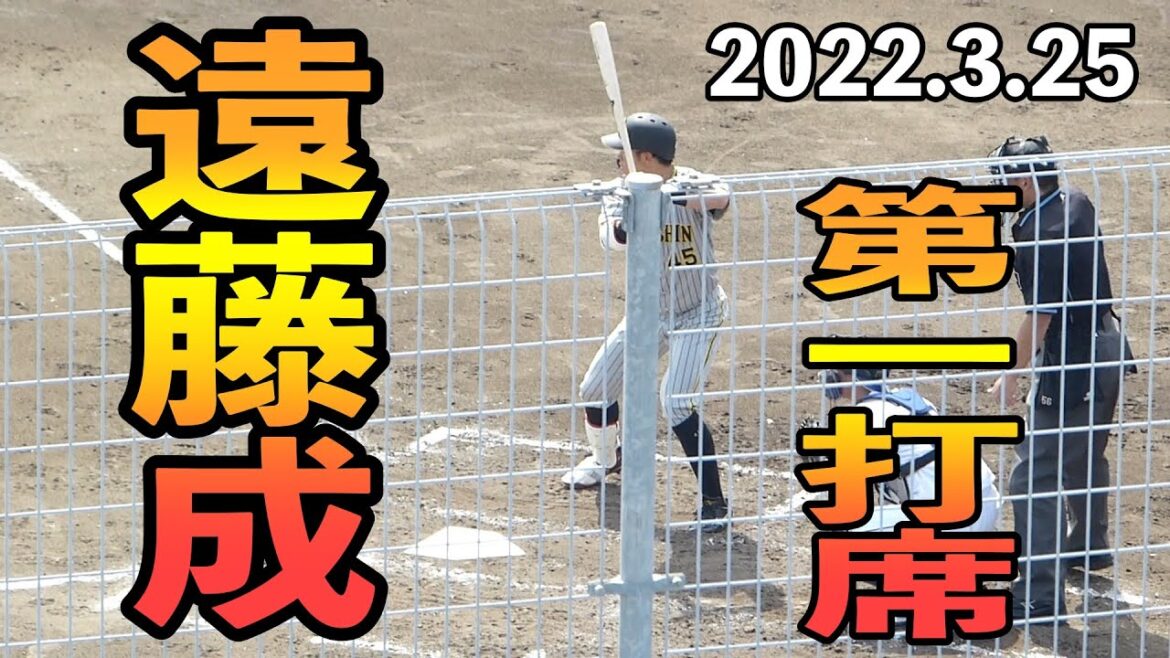 遠藤成のバッティング 第一打席【阪神タイガース 2022年3月25日 対中日ドラゴンズ プロ野球 2軍ファーム戦 ウエスタンリーグ ナゴヤ球場】