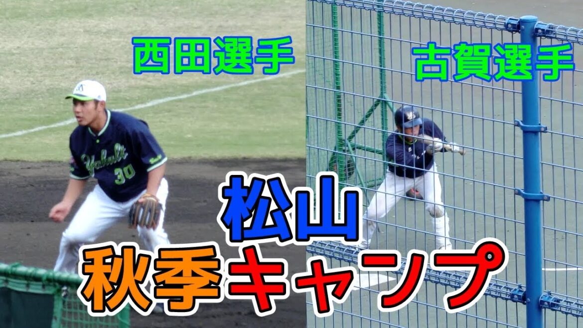 西田選手、古賀選手☆ノック、バント練習【2019 松山 秋季キャンプ⑯】東京ヤクルトスワローズ@ 坊っちゃんスタジアム