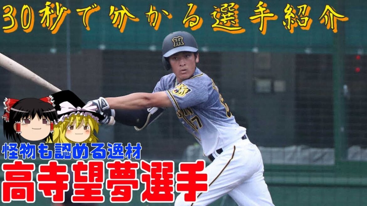 【30秒で分かる】阪神高寺望夢選手を紹介する動画【ゆっくり解説】 #shorts