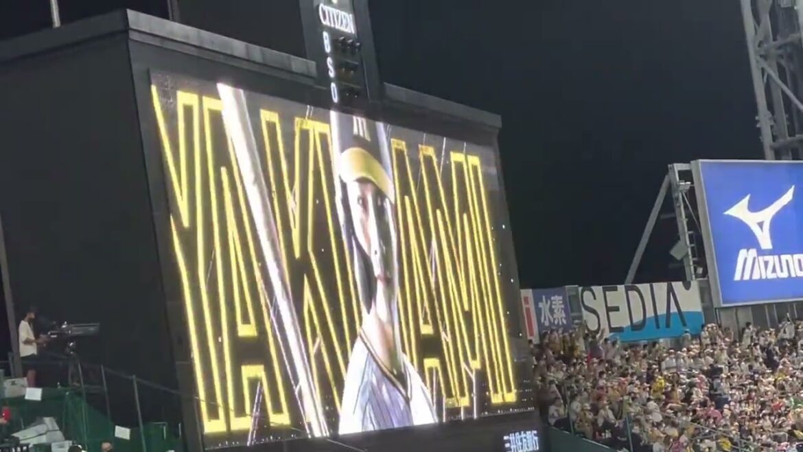 【やっぱり聞きたい】阪神 木浪聖也 選手登場曲 Fitz & The Tantrums /曲名 HandClap 22.9.14. 阪神甲子園球場