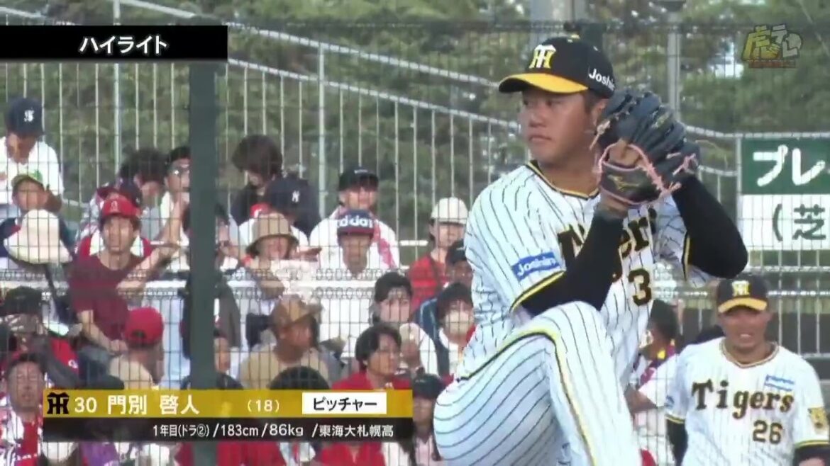 Hanshin-Tigers: 【ウエスタン・ハイライト】阪神vs広島【2023/7/29TーC】