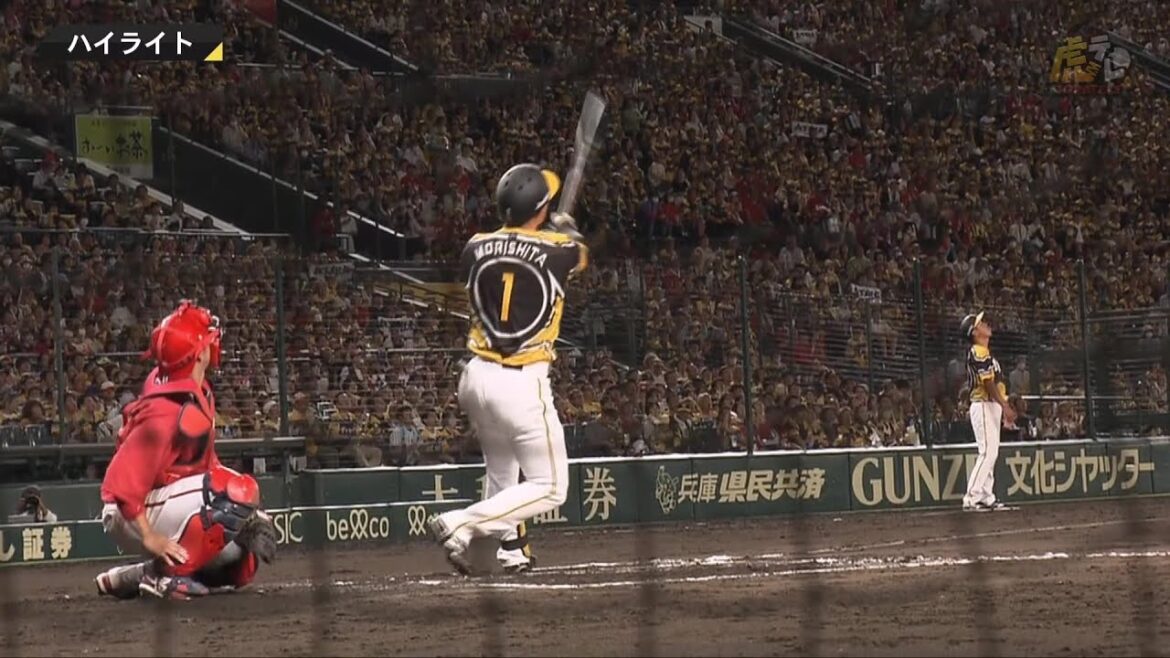 Hanshin-Tigers: 【ハイライト】阪神vs広島【2023/7/30T-C】
