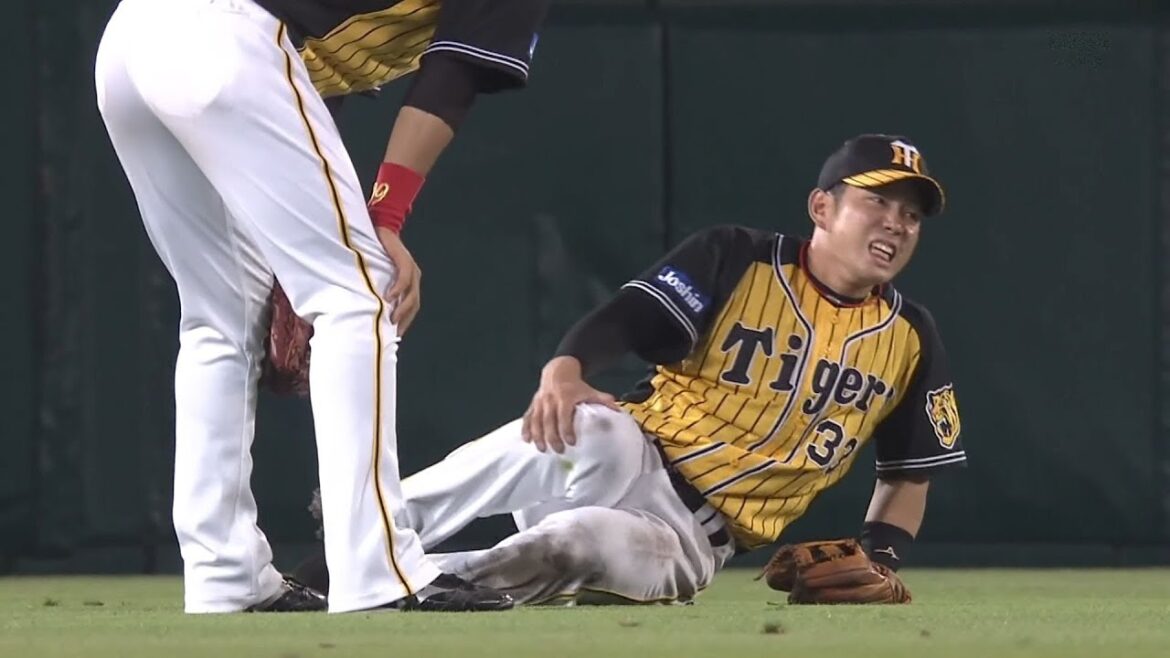 【負傷退場】阪神タイガース ドラフト5位ルーキー 糸原健斗 遊飛落球後右膝負傷により担架で退場 2017/7/19 阪神 vs. 広島 14回戦 【右膝内側側副靱帯損傷】