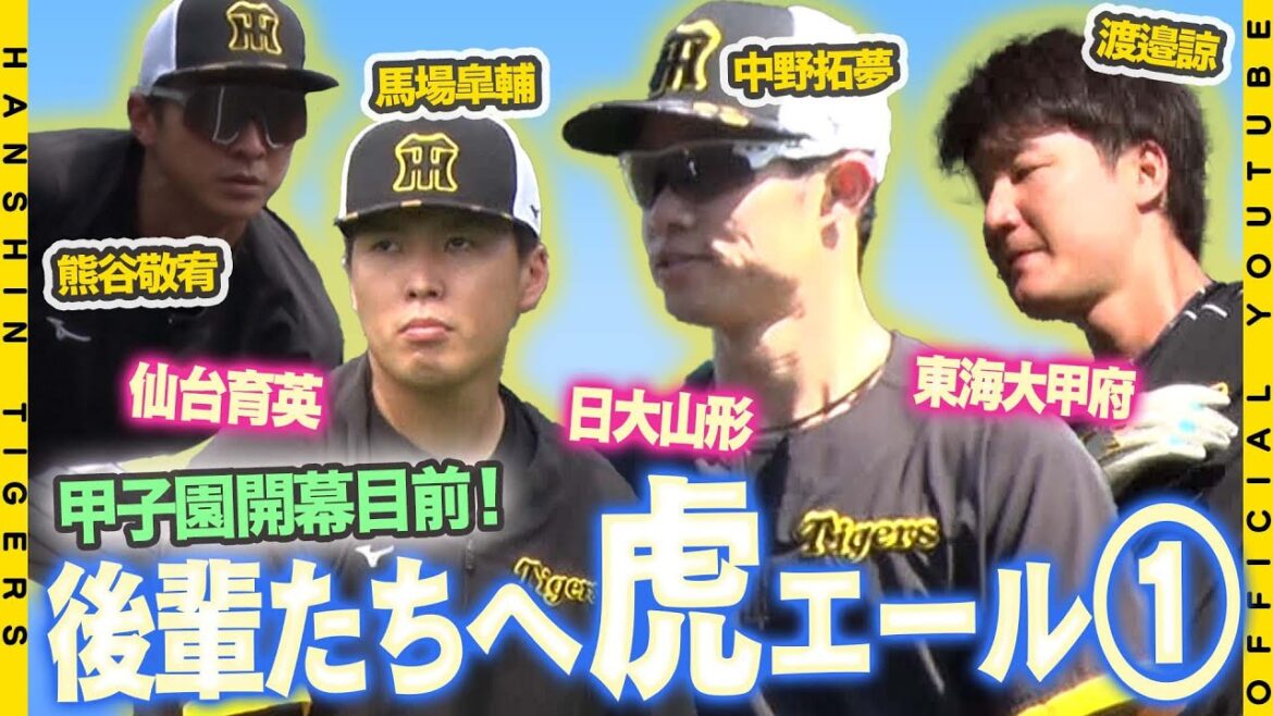 Hanshin-Tigers: 【虎エール①】母校が夏の甲子園出場を決めた虎戦士に直撃!高校時代の思い出話や後輩たちへエールを送ってもらいました!第1弾は#中野拓夢 選手 #渡邉諒 選手 #馬場皐輔 選手 #熊谷敬宥 選手です!