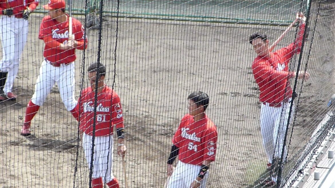 【カープ2軍】林晃汰 矢野雅哉 正隨優弥 韮澤雄也 安部友裕