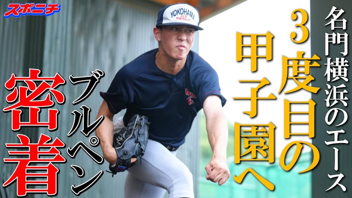 横浜杉山遙希 大阪桐蔭の前田悠伍が「エグい」と言った2500回転の直球 「突撃!スポニチアンパイア」第6回